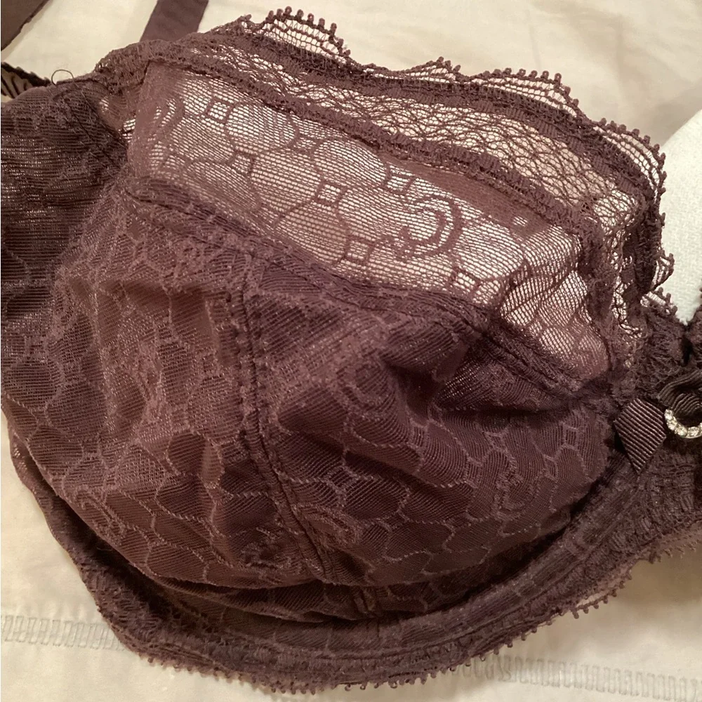 Chantelle Chic & Sexy Plunge Lace Bra - Rich Brown Rare color